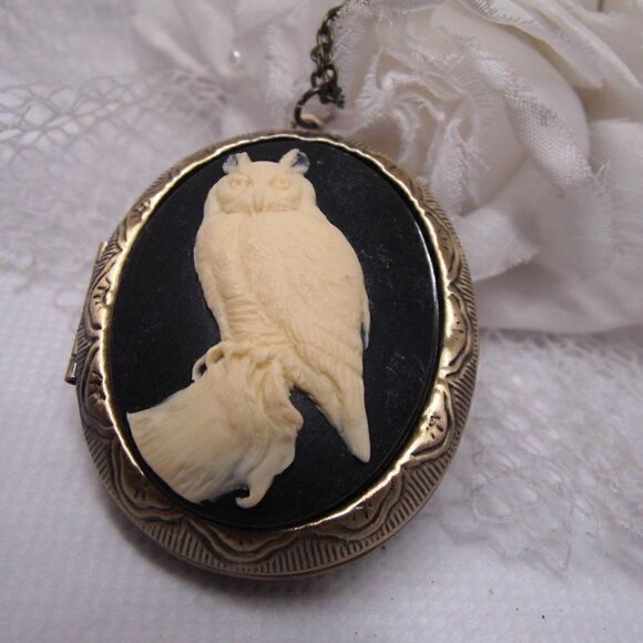 Horned Barn Owl Hoot Cameo Locket Box Keepsake Anniversary birthday GIFT MOM - Picture 4 of 9